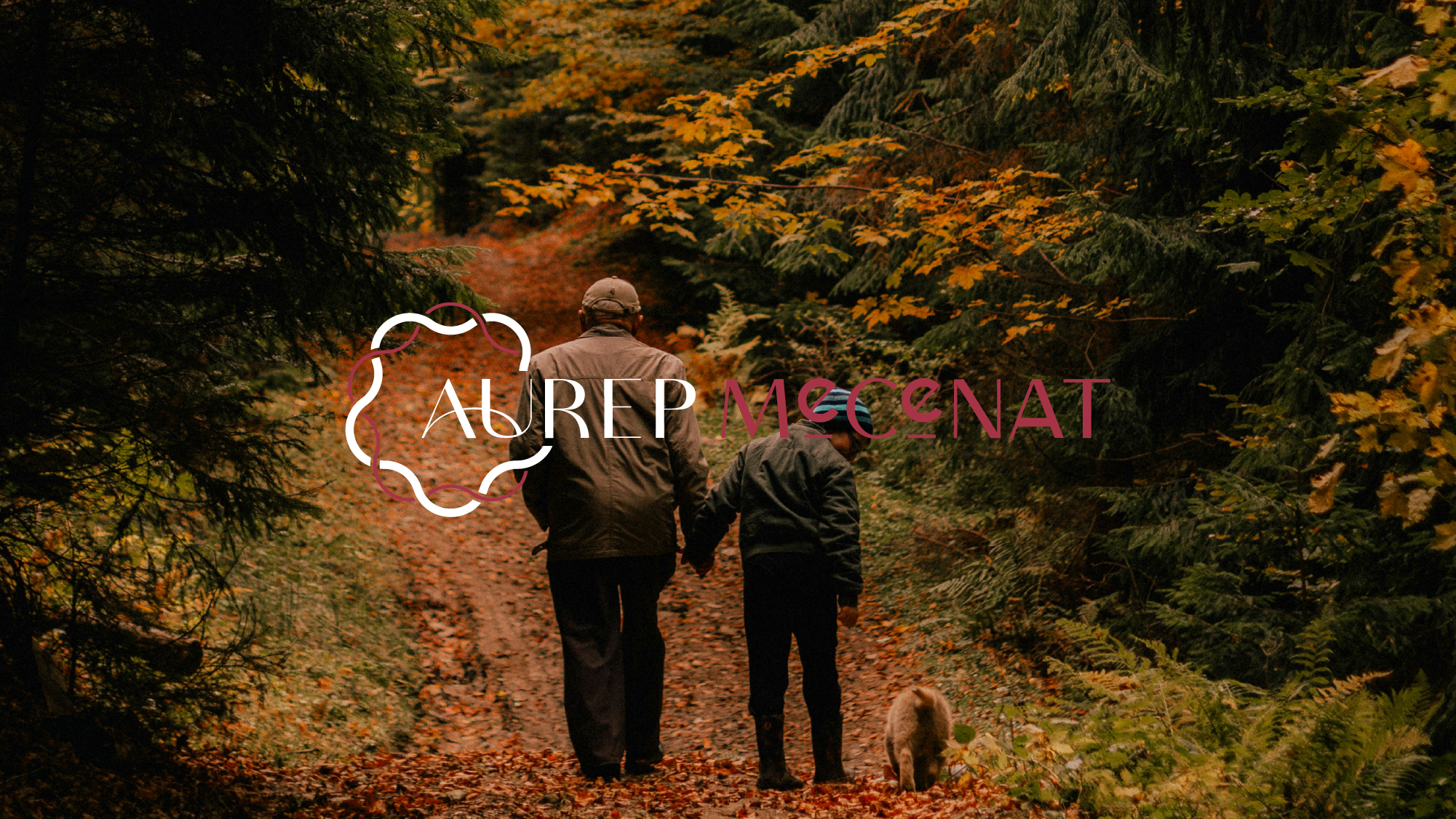 Agence web digital clermont ferrand le dupplex auvergne AUREP Mecenat 1