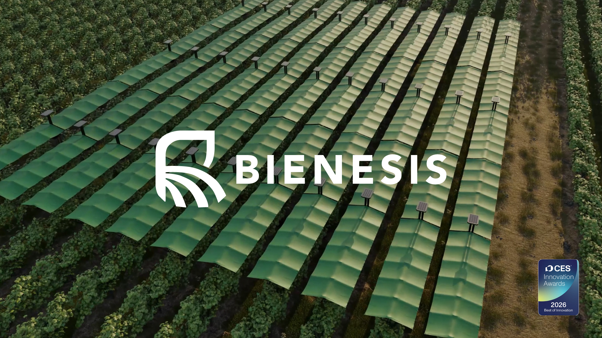 Le Dupplex agence de conception de site web vitrine et e-commerce à Clermont-Ferrand photo de l’équipe.